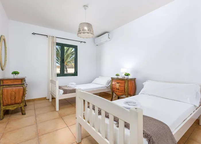 Palm View By Willa Corralejo