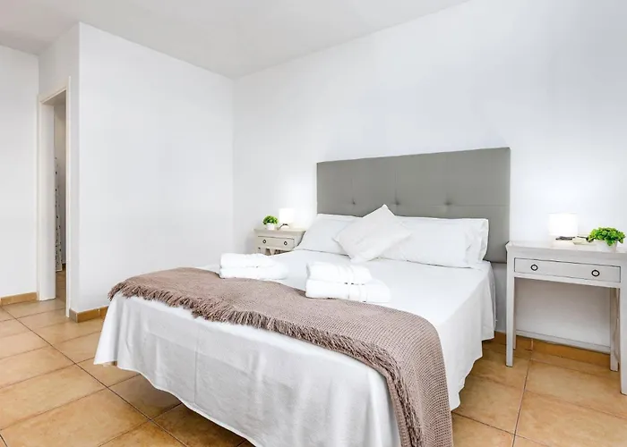 Palm View By Willa Corralejo