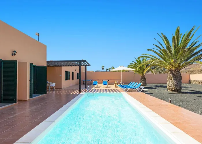Palm View By